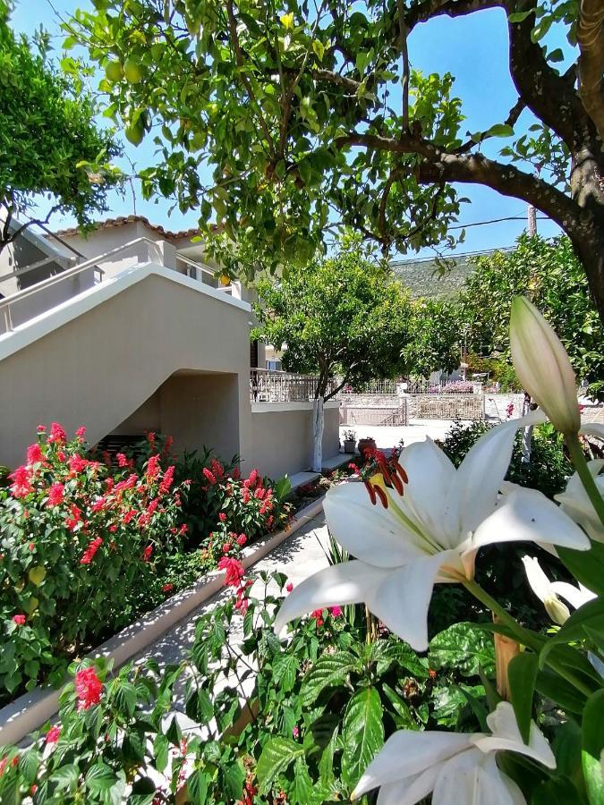 Villa Nikolaou Парга Экстерьер фото